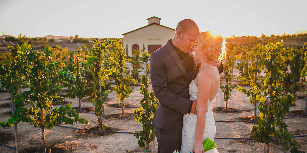 Plan for Romance at Danza del Sol Winery