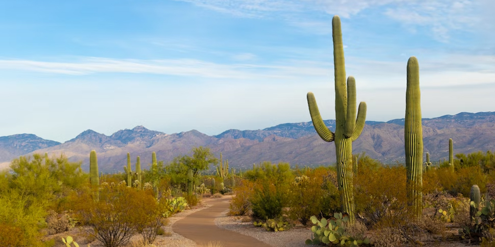 6 Reasons for a Phoenix, AZ, Destination Wedding
