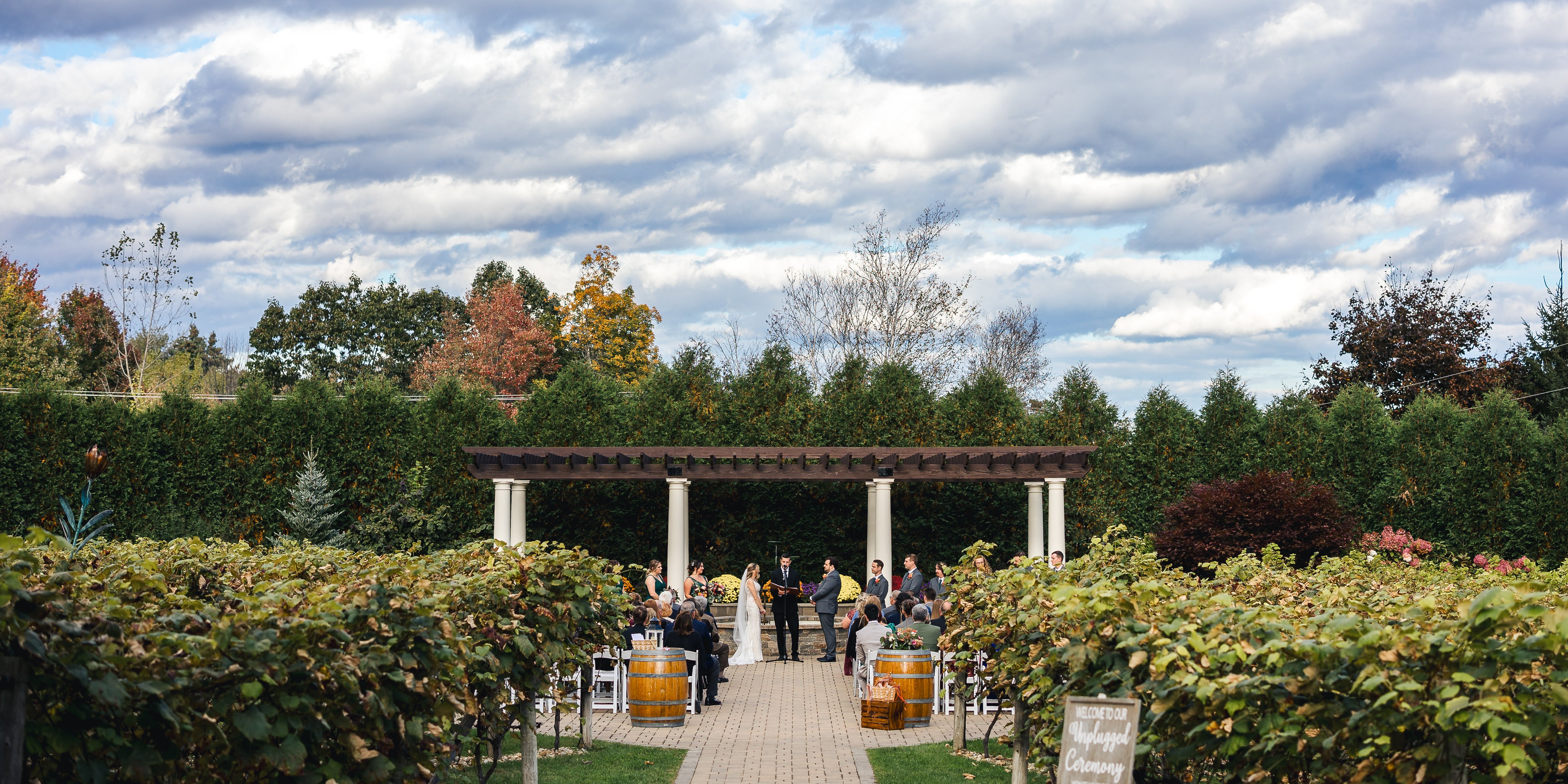 Among the Vines: Birch Wood Vineyards by Wedgewood Weddings