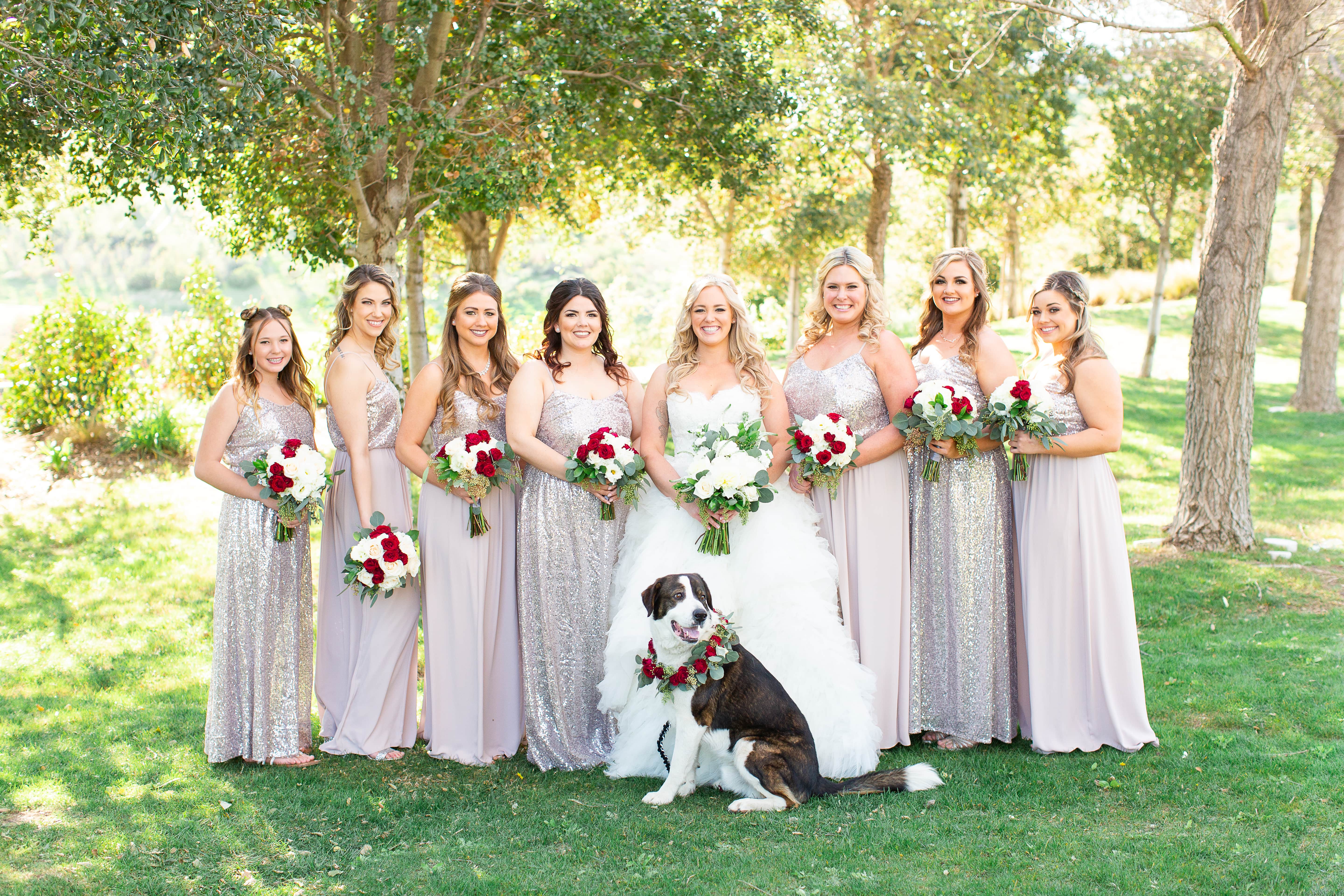 bridal party with dog at Vellano Estate