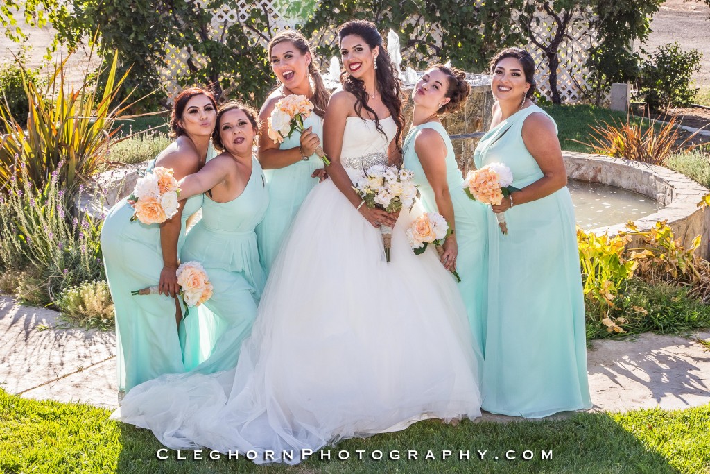 bride and bridesmaids together 
