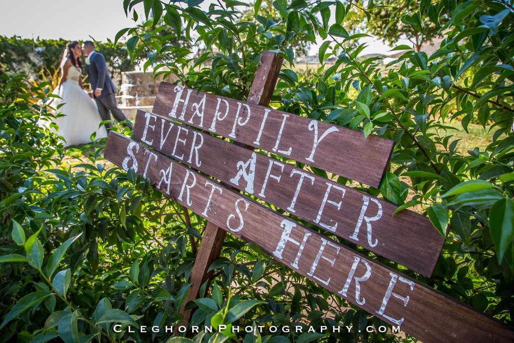 Happily ever after DIY wedding sign